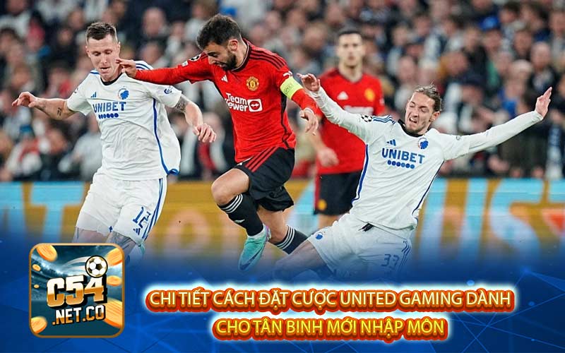 Chi tiết cách đặt cược United Gaming dành 
cho tân binh mới nhập môn 